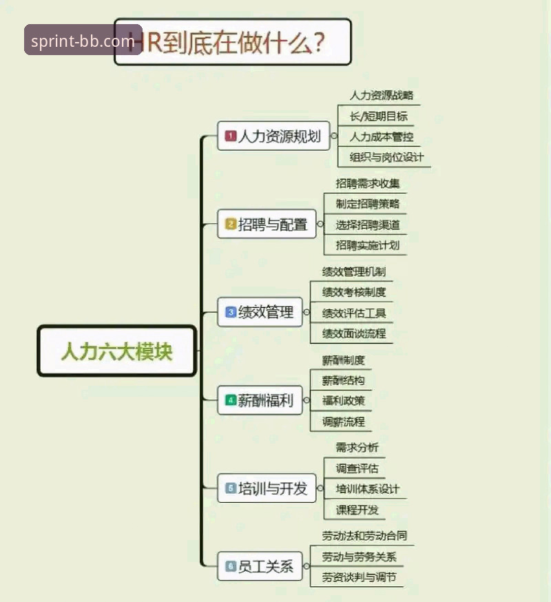 7大核心功能详解：BB体育手机版如何重塑移动观赛体验